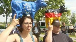 Anger of dairy farmers
