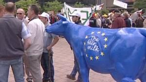 Les producteurs laitiers européens inquiets et en colère face à la chute des prix