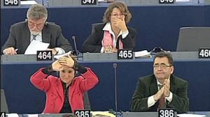 Who are the European Parliament Members?