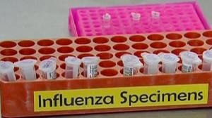 Drug firms race to produce flu vaccine