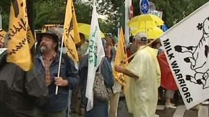 Sour mood over EU milk policies