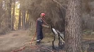 Accalmie sur le front des incendies dans le sud de l’Europe