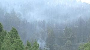 Weather aids Canaries firefighters