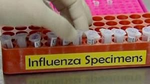 WHO reports progress on H1N1 flu vaccine