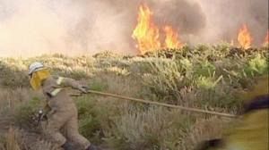 Wildfires sweep northern Portugal and Spain
