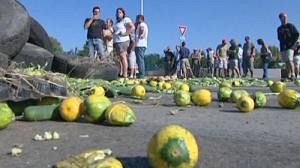 Les agriculteurs français se vengent sur les légumes étrangers