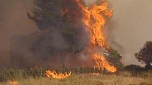 Greek forest fire rages near Athens