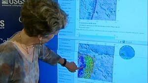 Tsunami sparks response as far as New Zealand