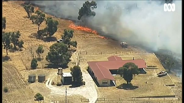 Australia swelters in record high temperatures