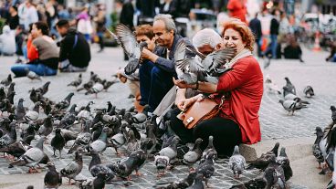 10 things you need to know about European Capitals of Culture