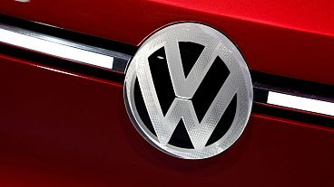 German government blasts 'unjustifiable' fume tests on humans and monkeys