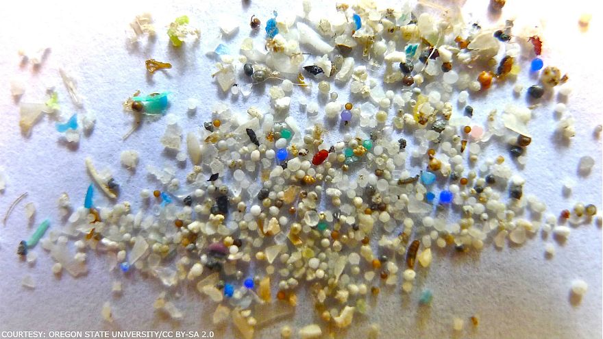 Microplastics pollute even the most remote parts of the ocean, scientists warn (euronews.com)