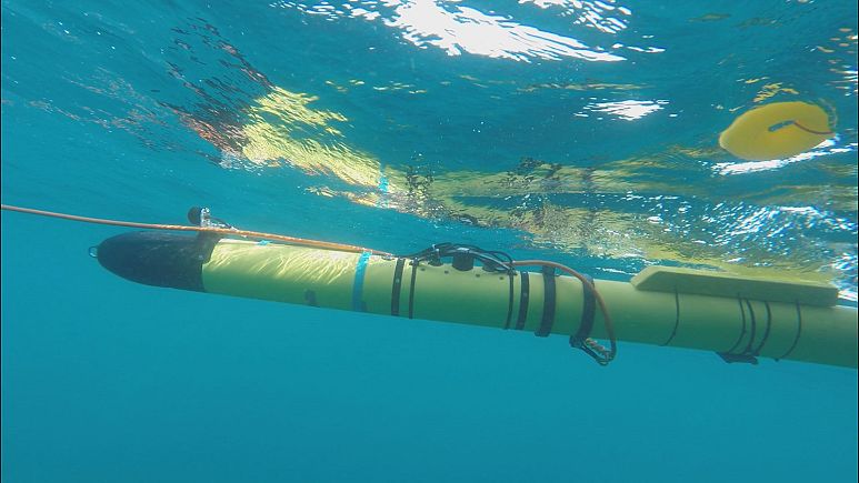 Robots Submarinos Revolucionan La Exploraci N Del Fondo Del Mar Euronews