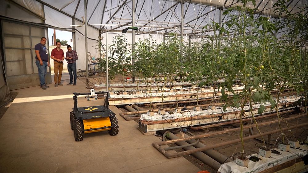 La Agricultura Tecnolog A Sustentable Para Afrontar El Futuro