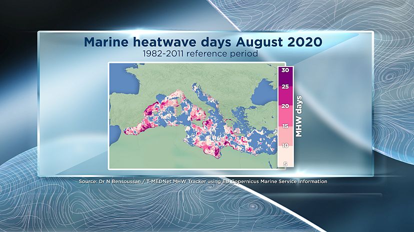 Marine Hitzewellen Auswirkungen Des Klimawandels Auf Ozeane Euronews