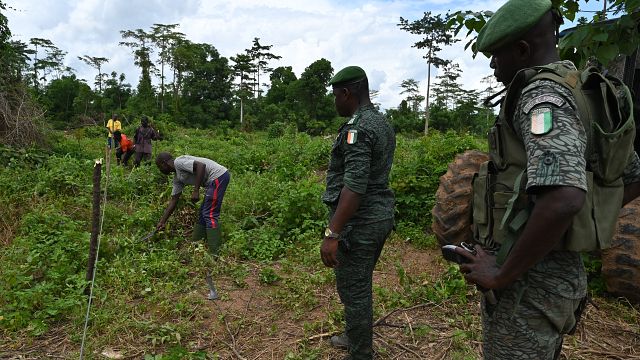 Côte d'Ivoire :  la forêt de la Téné comme rempart contre la déforestation