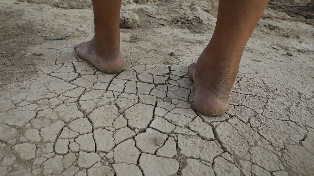 Iran experiences internet shutdowns amid protests over water crisis - NewsOpener Iran experiences internet shutdowns amid protests over water crisis