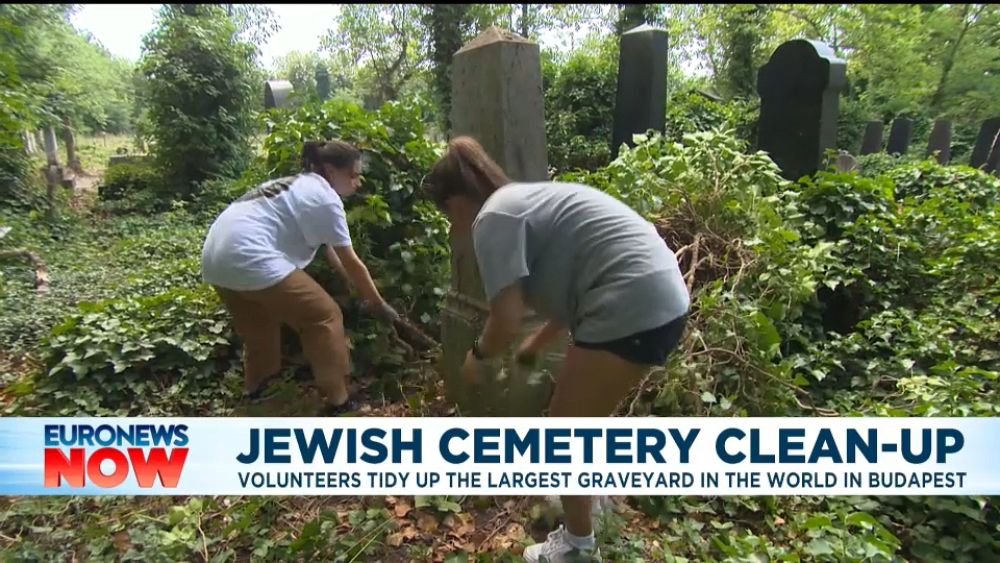 Volunteers restore one of the world's largest Jewish cemeteries - NewsOpener Volunteers restore one of the world's largest Jewish cemeteries