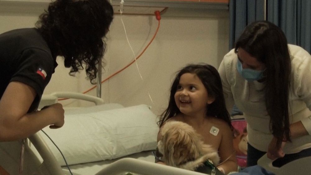 Therapy dogs bring joy to kids at Chile hospital - NewsOpener Therapy dogs bring joy to kids at Chile hospital