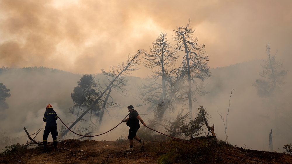 Greek PM apologises as fight against wildfire on Evia continues - NewsOpener Greek PM apologises as fight against wildfire on Evia continues