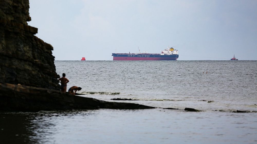 Russian prosecutors open investigation into Black Sea oil spill - NewsOpener Russian prosecutors open investigation into Black Sea oil spill