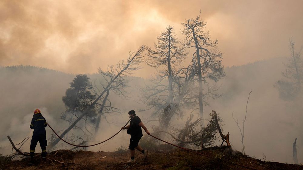 ‘This is climate change’: July was world's hottest month on record - NewsOpener ‘This is climate change’: July was world's hottest month on record
