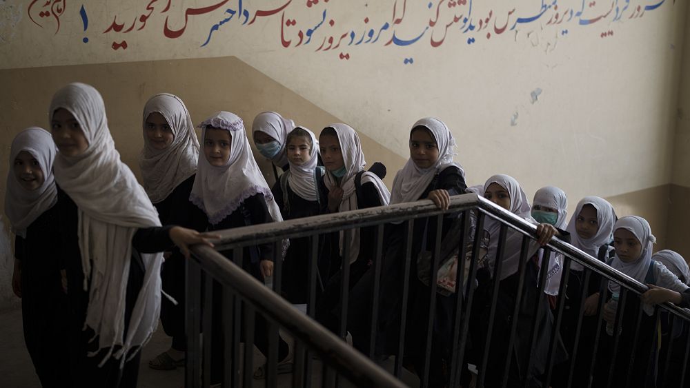 Taliban say women can study in gender-segregated universities - NewsOpener Taliban say women can study in gender-segregated universities