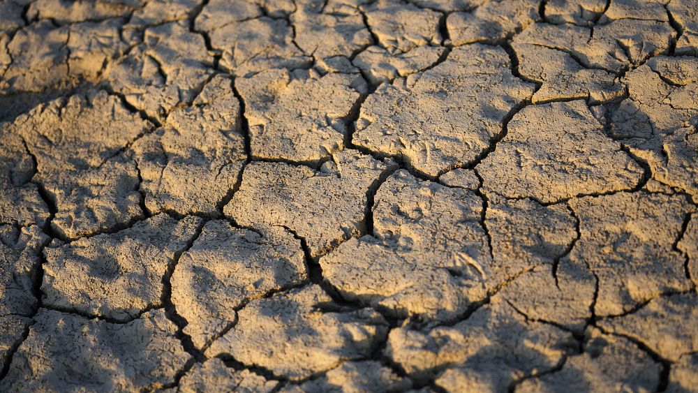 Crops and drinking water threatened amid worst drought in 70 years - NewsOpener