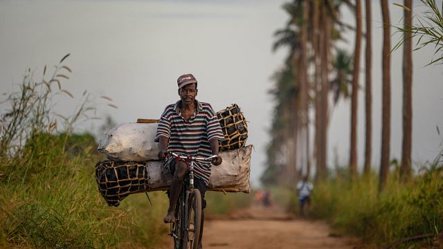 Au Mozambique, le commerce du charbon se fait à vélo
