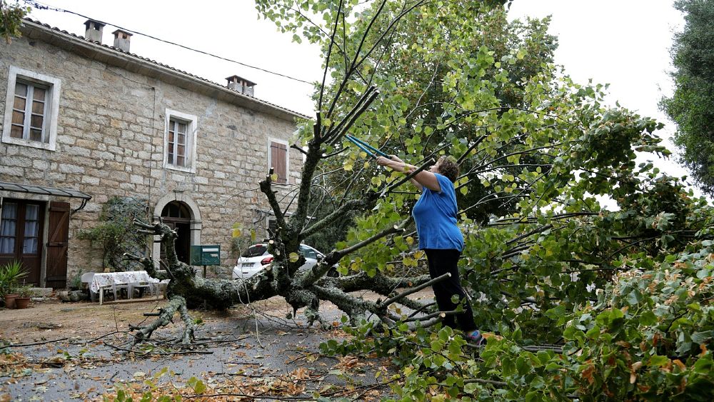 At least five killed as hurricane-force winds hit Corsica - NewsOpener