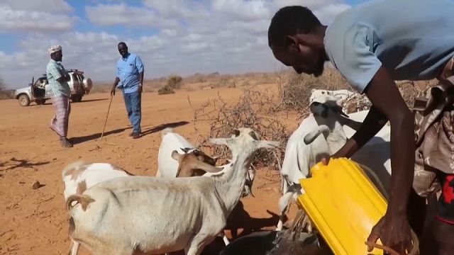 Sécurité alimentaire : la Somalie, au bord de la famine