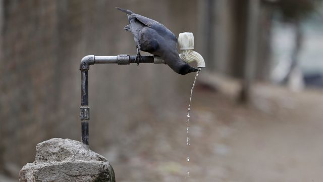 South Africa battles with water crisis thumbnail