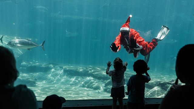 Le Père Noël fait le show à l'aquarium de Durban
