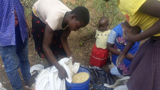 Malawi : la sécheresse décime les récoltes, l'état de catastrophe déclaré