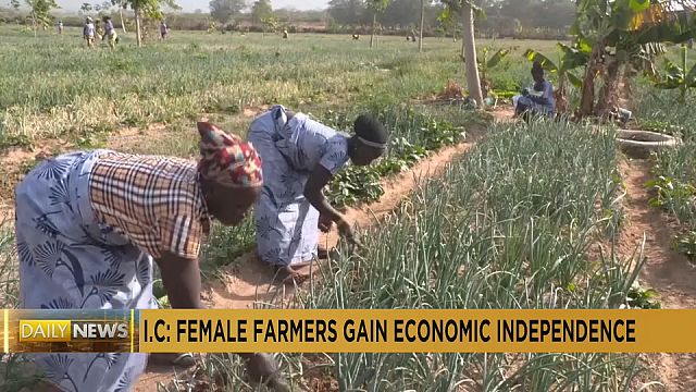 Côte d'Ivoire : l'agriculture, clé de la liberté économique des femmes