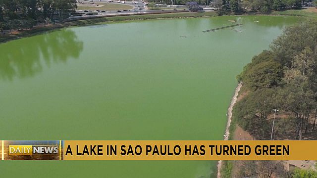 A lake in Sao Paulo turns green due to algae bloom thumbnail