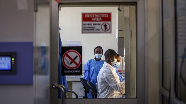 Rwanda launches trial for Marburg virus as death toll climbs to 12 thumbnail