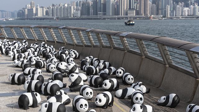 Pandas take over Hong Kong