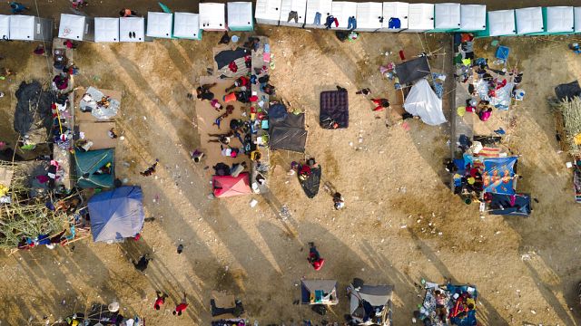 Anguish and uncertainty grip Haitian workers in Texas meatpacking plants amid immigration crackdown thumbnail
