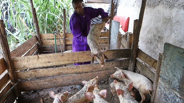They once lived the 'gangster life.' Now they tackle food insecurity in Kenya's slums thumbnail