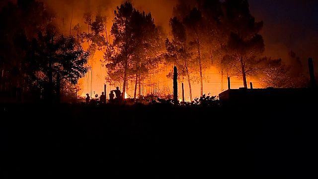 Portugal battles major wildfires during intense summer heat