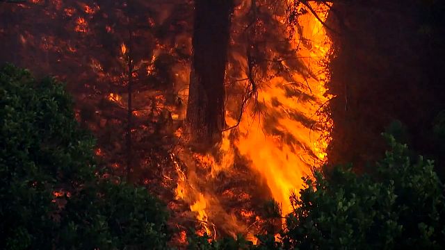 Fresh wildfires force evacuations in northern Spain