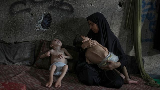 Over 500,000 in Gaza at risk as hunger deaths rise to 289