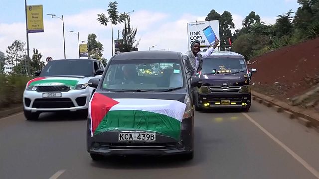 WATCH: Hundreds join demonstration in Kenyan capital over war in Gaza