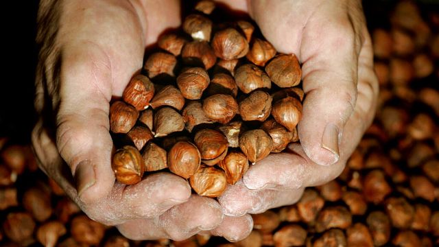 Nigeria bans raw shea nut exports to boost local industry