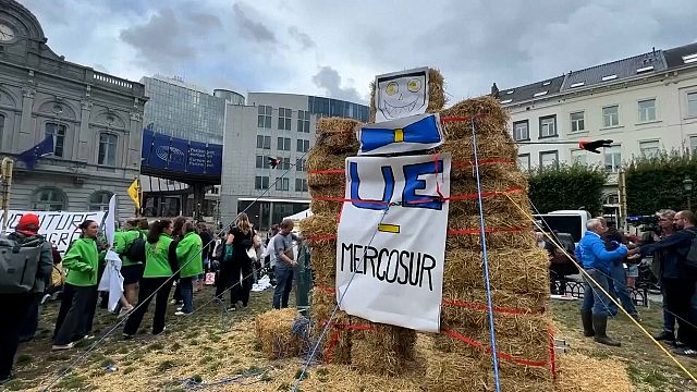 Farmers protest in Brussels against EU-Mercosur trade deal