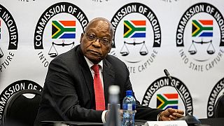 S. Africa's state capture commission seeks more time