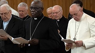 Meet Guinea's cardinal 'dividing' Pope Francis and Benedict XVI