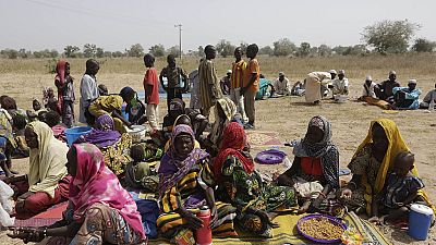 Cameroun : deux morts dans une attaque de Boko Haram dans l'Extrême-Nord