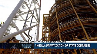 Angola: privatization of state companies [Business Africa]